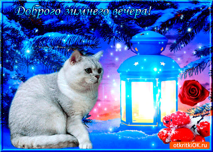 Картинка доброго зимнего вечера