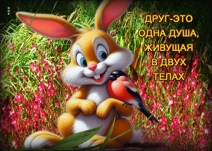 Postcard друг - это одна душа живущая в двух телах