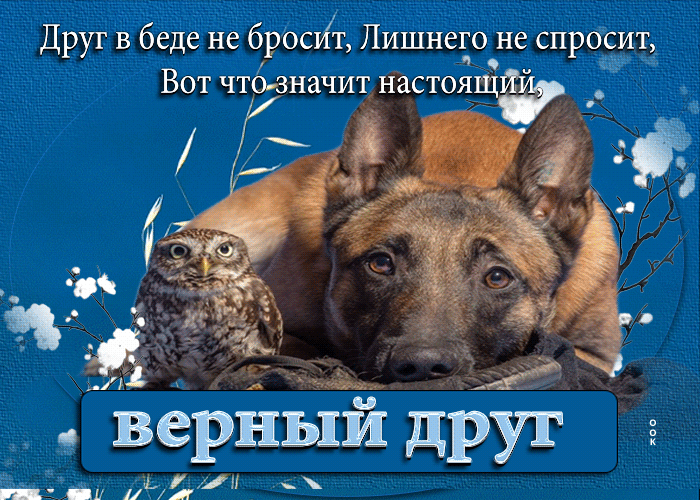 Picture друг в беде не бросит, лишнего не спросит