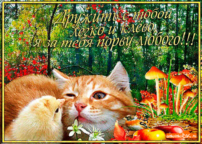 Картинка дружить с тобой клево
