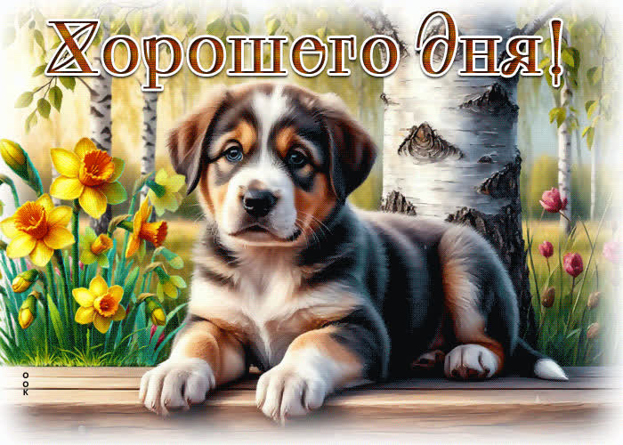 Postcard дружелюбная и добрая весенняя гиф-открытка хорошего дня