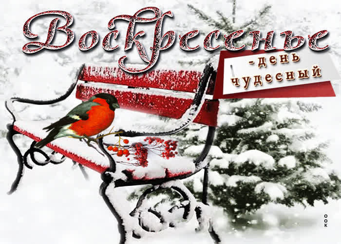 Postcard дружелюбно-приятная открытка воскресенье - день чудесный