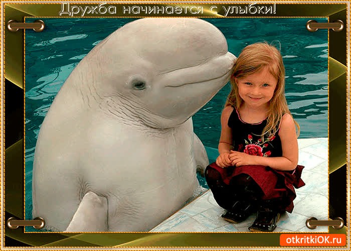 Картинка дружба начинается с улыбки