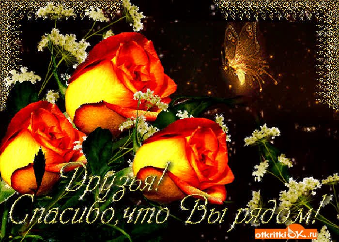 Картинка друзья, спасибо что вы рядом