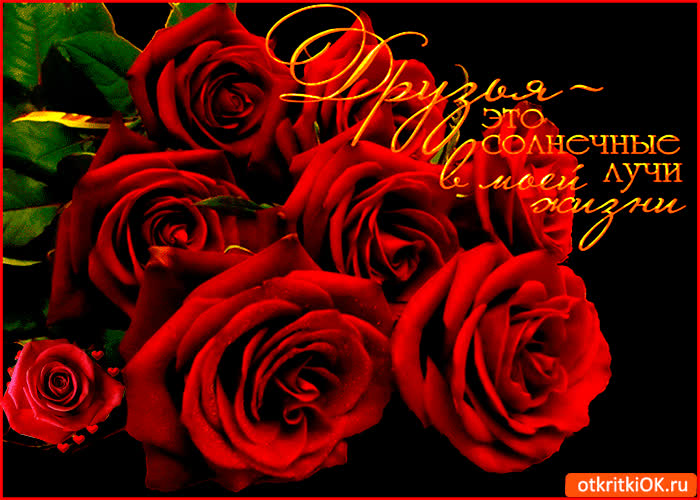 Картинка друзья это лучи в моей жизни