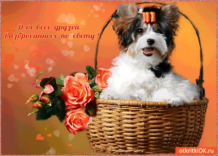 Картинка друзьям разбросанных по свету