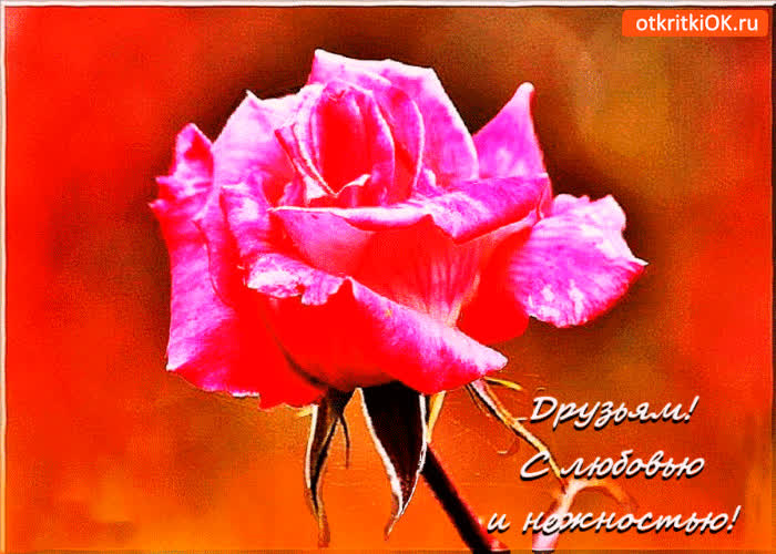 Картинка друзьям с любовью и нежностью