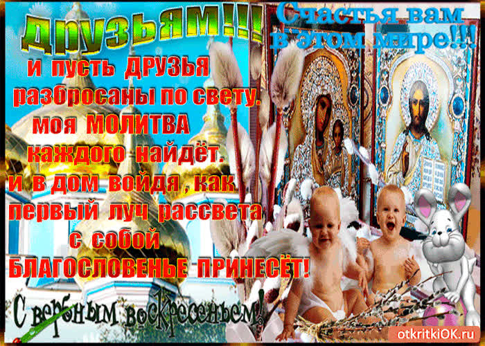 Картинка друзьям с вербным воскресеньем