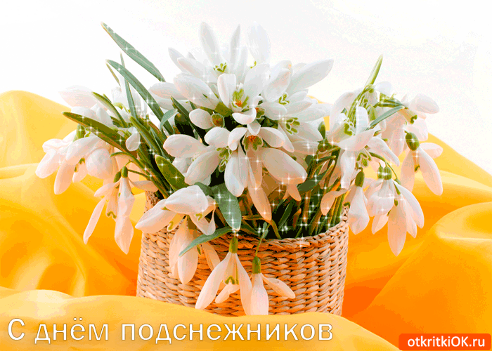 Открытка друзей с днём подснежников