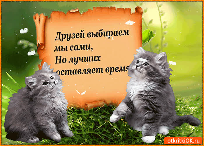 Картинка друзей выбираем мы сами