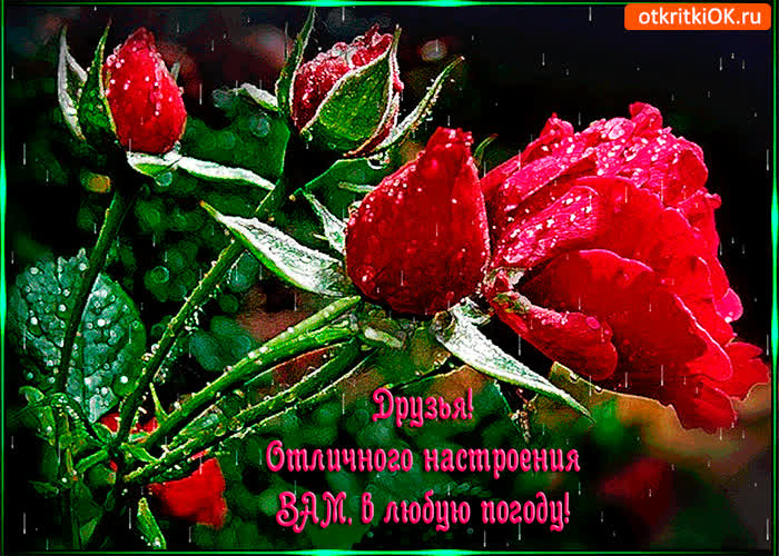 Картинка друзья! отличного настроения вам