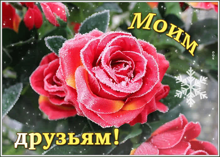 Открытка друзья вы радуга души