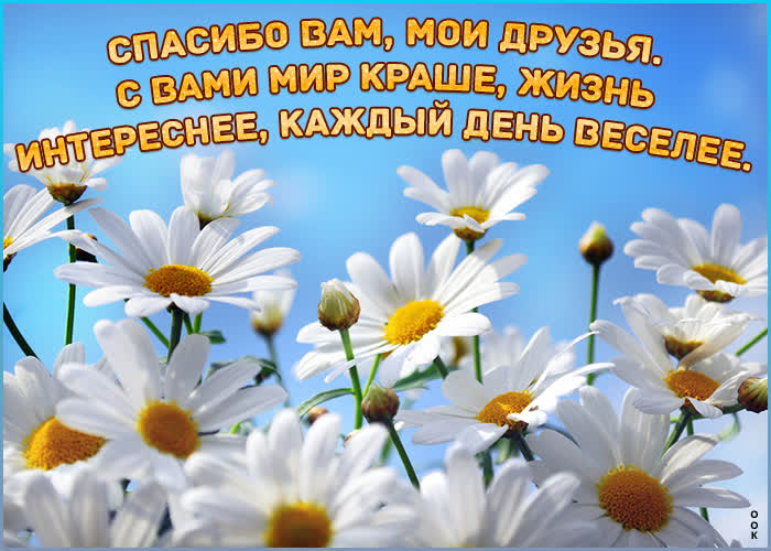 Открытка друзья! я желаю вам добра