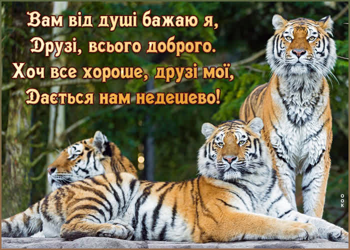 Открытка друзьям