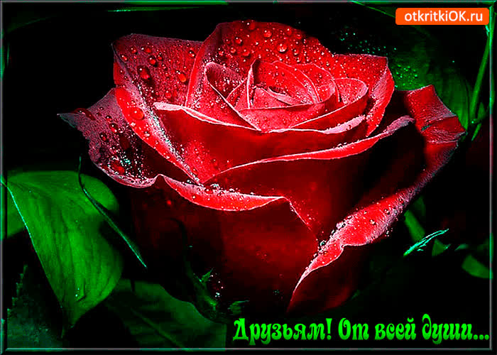 Картинка друзьям, из глубины души