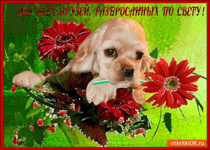 Картинка друзьям разбросанным по свету