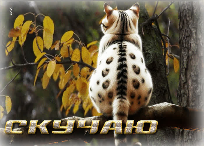 Postcard душевная, милая осенняя гифка скучаю