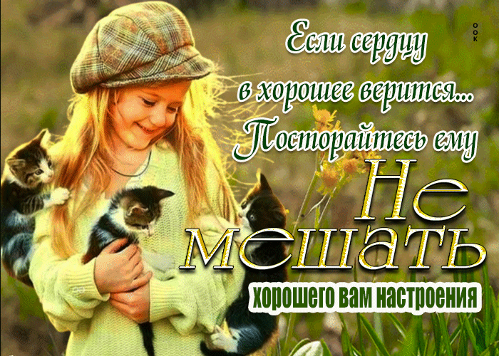 Postcard душевная открытка хорошего вам настроения!