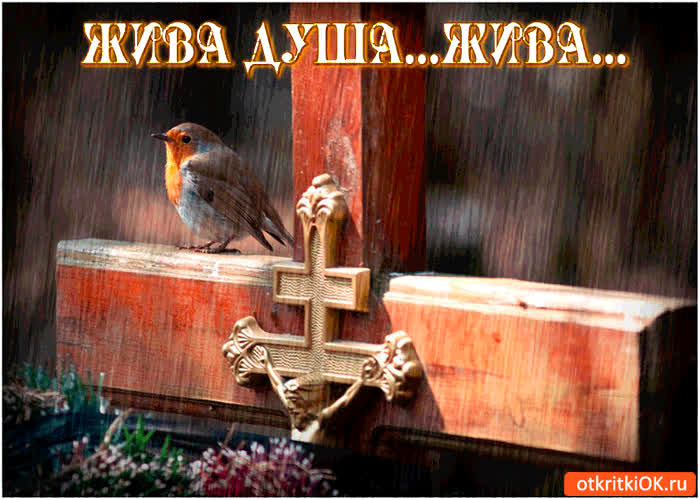 Картинка душа всегда жива - с радоницей