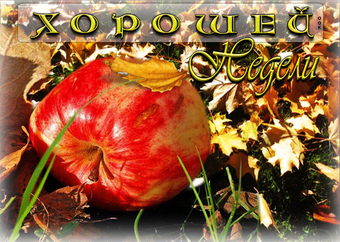 Picture эффектная открытка с яблочком хорошей недели