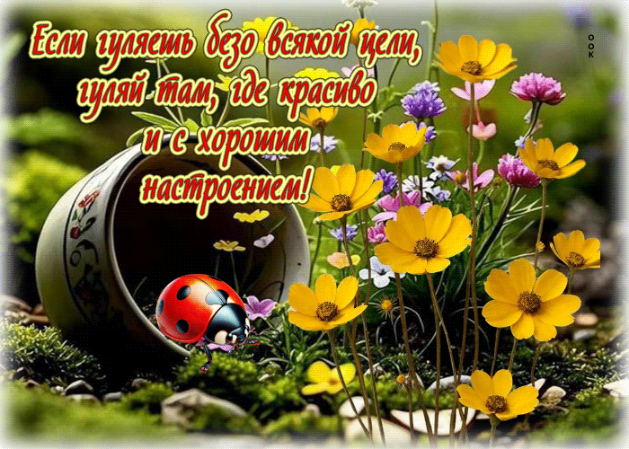 Picture если гуляешь безо всякой цели, гуляй там, где красиво и с хорошим настроением