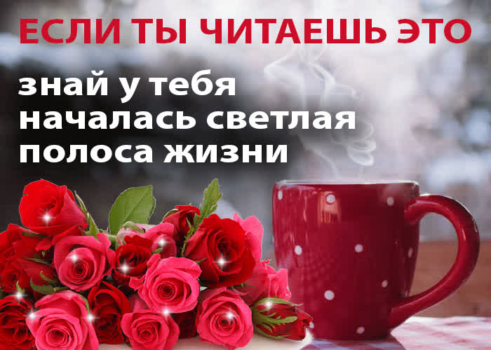 Картинка если ты читаешь это...