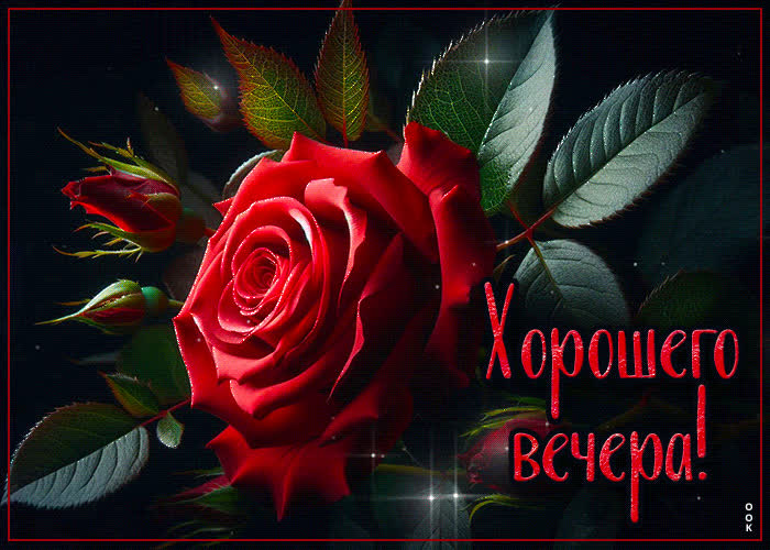 Picture эстетичная гиф-открытка хорошего вечера