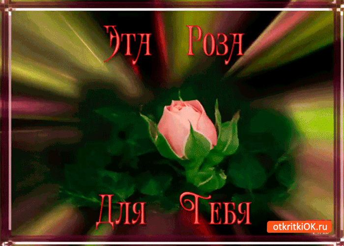 Картинка эта роза твоя