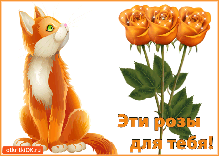 Открытка эти розы для тебя!