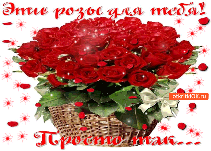 Картинка эти розы для тебя! просто так от меня
