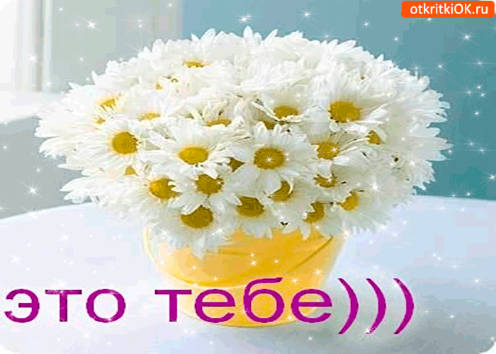 Картинка это тебе, ведро ромашек