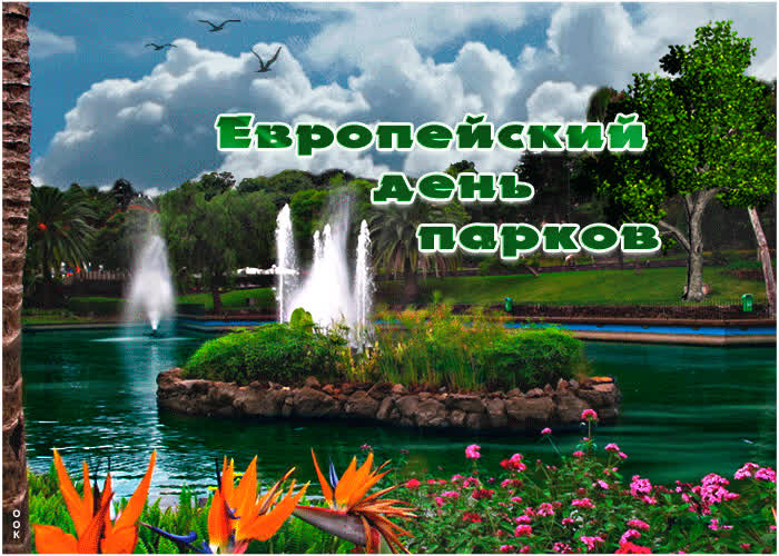 Картинка европейский день парков