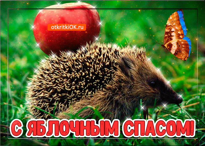 Картинка фото открытка яблочный спас