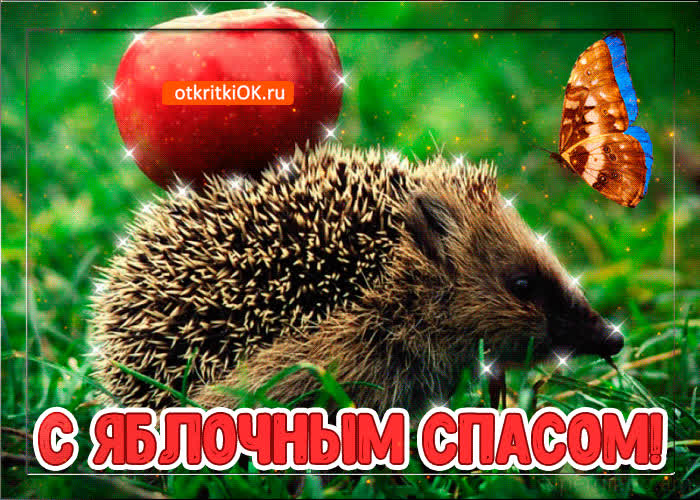 Картинка фото картинка яблочный спас