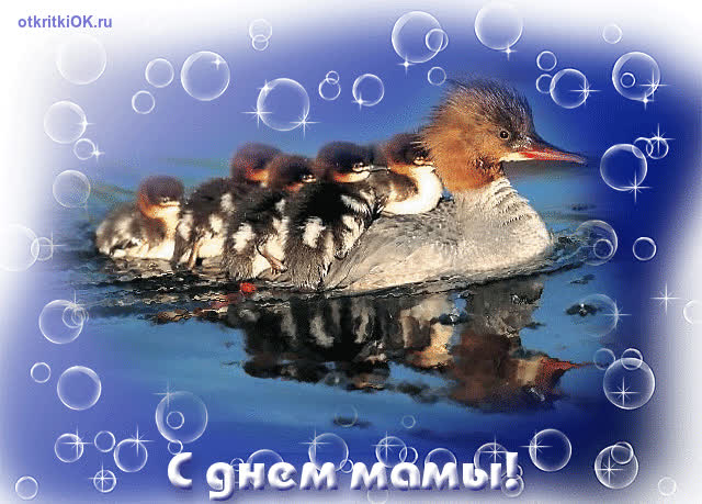 Картинка гиф с днём матери