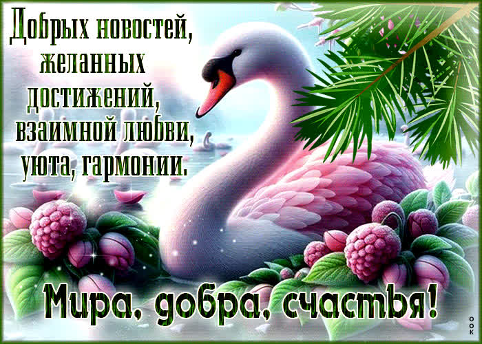 Postcard гиф-открытка добрых новостей, желанных достижений