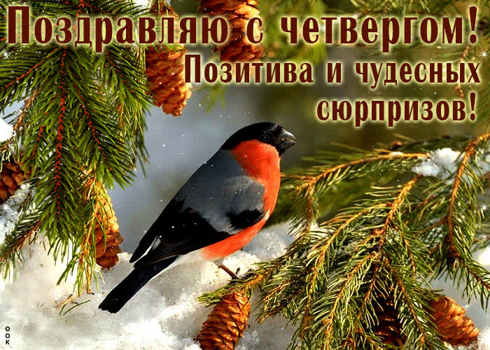Picture гиф-открытка поздравляю с четвергом! позитива и чудесных сюрпризов