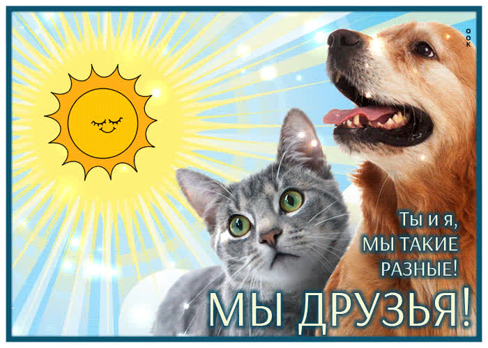 Postcard гиф-открытка ты и я, мы такие разные! мы друзья