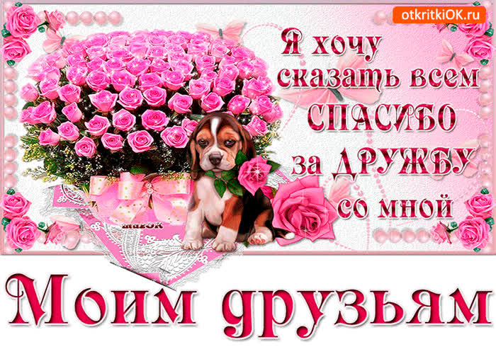 Картинка хочу сказать спасибо