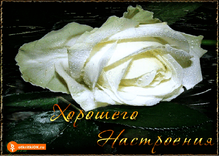 Открытка хорошего настроения картинка