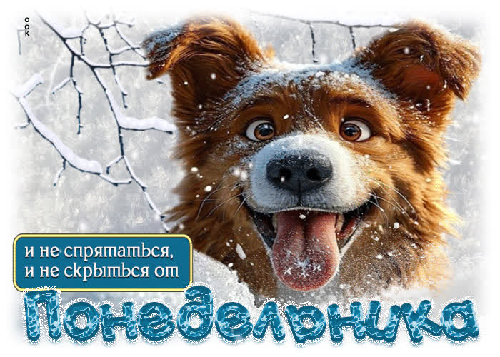 Picture и не спрятаться, и не скрыться от понедельника