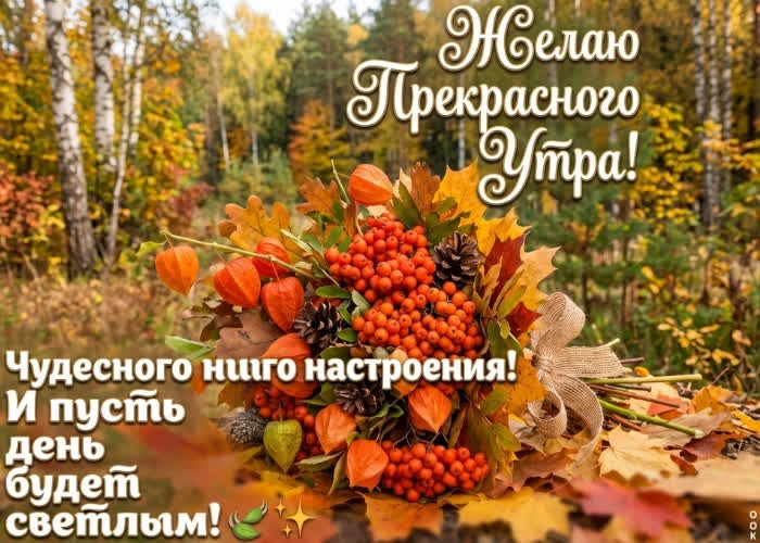 Picture и пусть день будет светлым