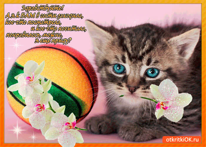 Картинка я к вам в гости заходила