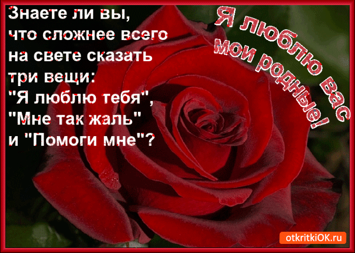 Картинка я люблю вас мои родные