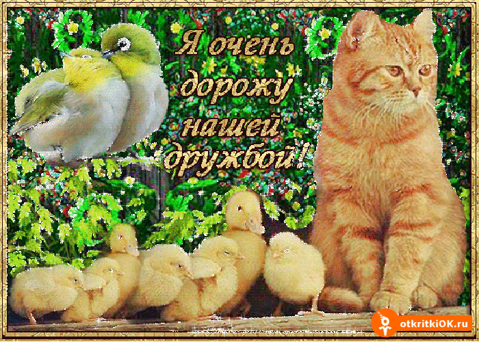 Открытка я очень дорожу нашей дружбой