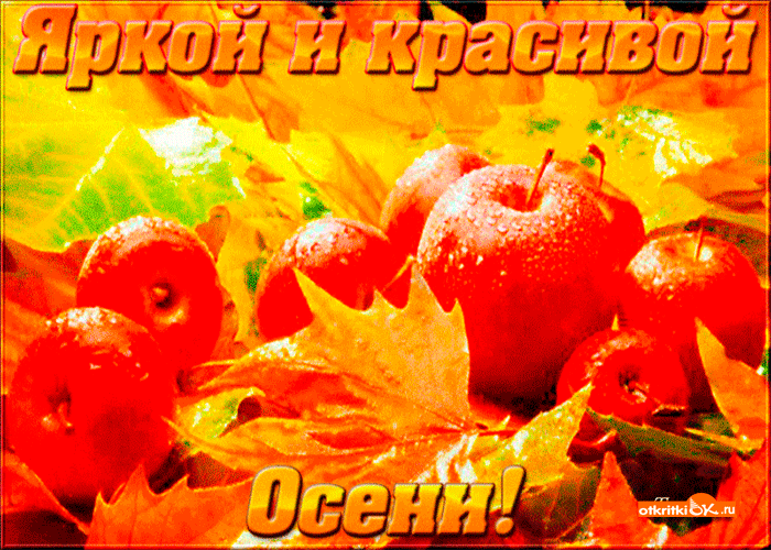 Картинка яркой и красивой осени