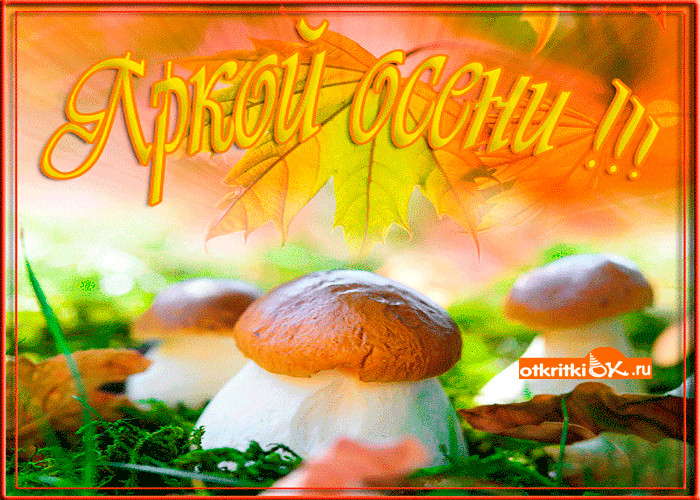 Картинка яркой осени друзья