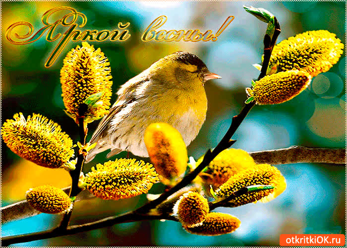 Картинка яркой весны вам