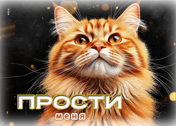 Postcard идеальная летняя гиф-открытка прости меня