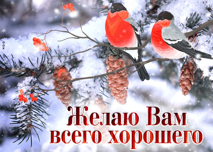 Picture идеальная открытка желаю вам всего хорошего